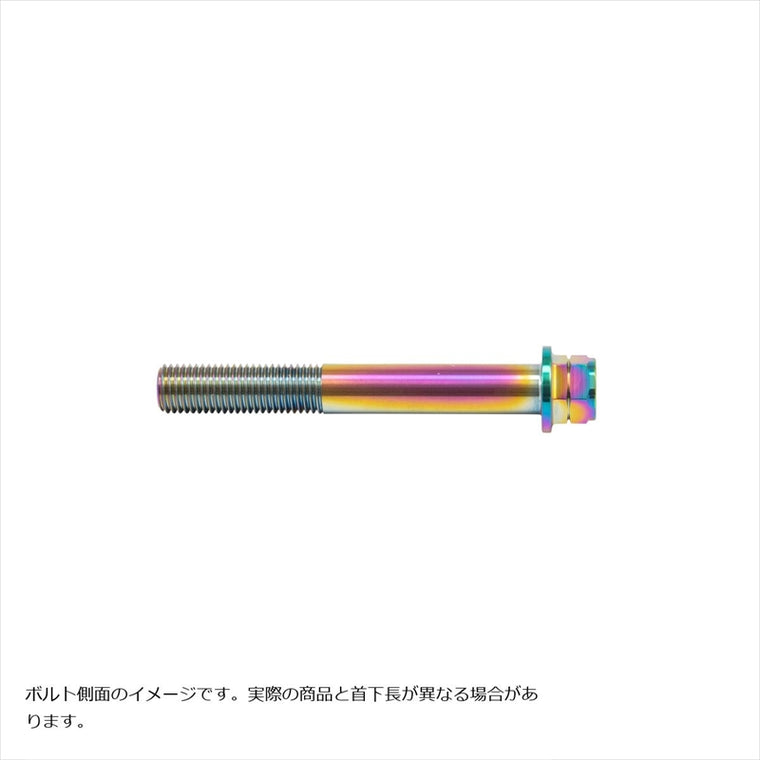 プロトブレンボ｜ステンレスキャリパーマウントボルト チタン色｜CMBF-070T