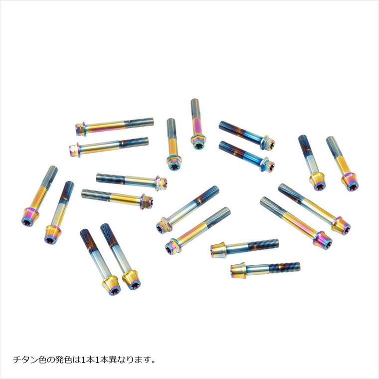 プロトブレンボ｜ステンレスキャリパーマウントボルト チタン色｜CMBF-070T