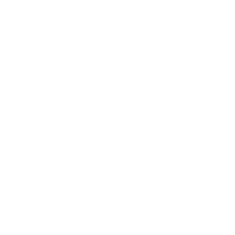 WIRUSWIN(ウイルズウィン)サイレンサー型エアクリーナー バズーカ2004-01-01