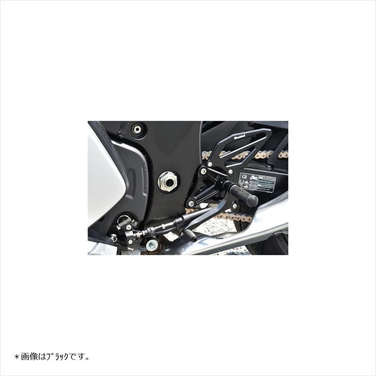 WOODSTOCK(ウッドストック) | バックステップキット オールレッド | WBS-S20-RD | HAYABUSA 21