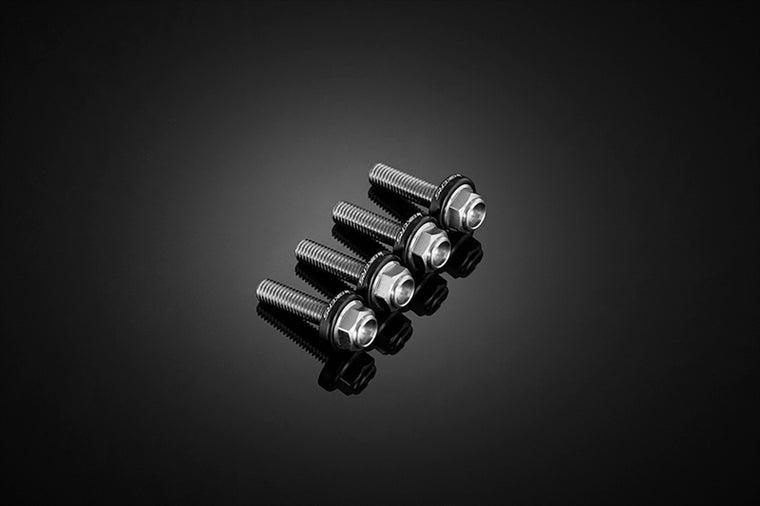 BIKERS(バイカーズ)｜スクリーン用 ステンレスボルト ブラック｜C0420-BLK