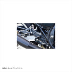WOODSTOCK(ウッドストック) | バックステップキット オールSLV  | WBS-K45-SL | GPz750F