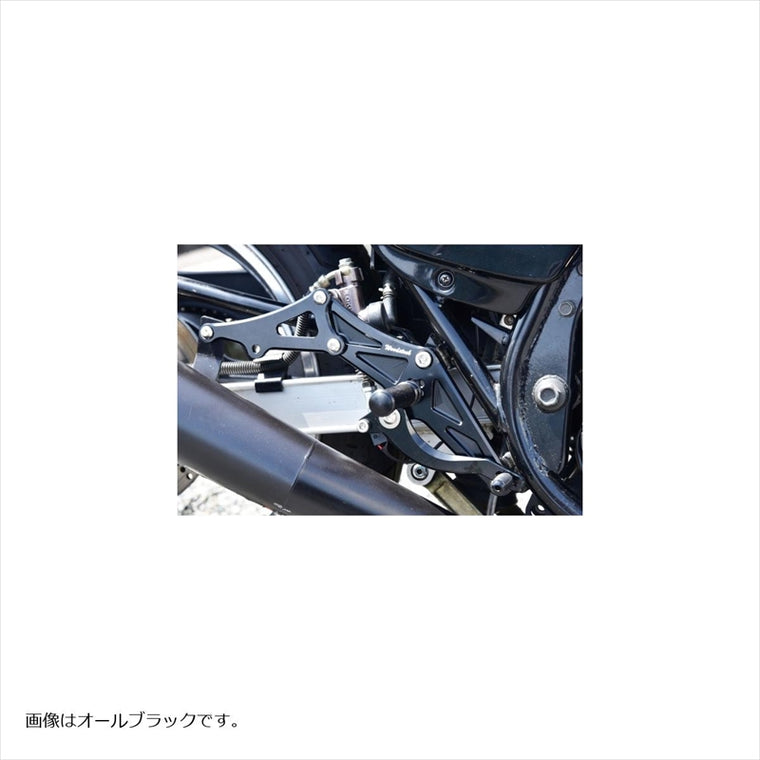 WOODSTOCK(ウッドストック) | バックステップキット オールSLV  | WBS-K45-SL | GPz750F