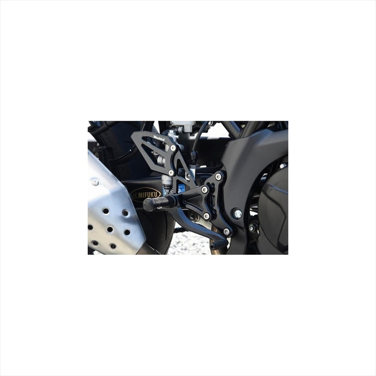 WOODSTOCK(ウッドストック) | バックステップキット オールSLV  | WBS-S16-SL | SV650 ABS 16-