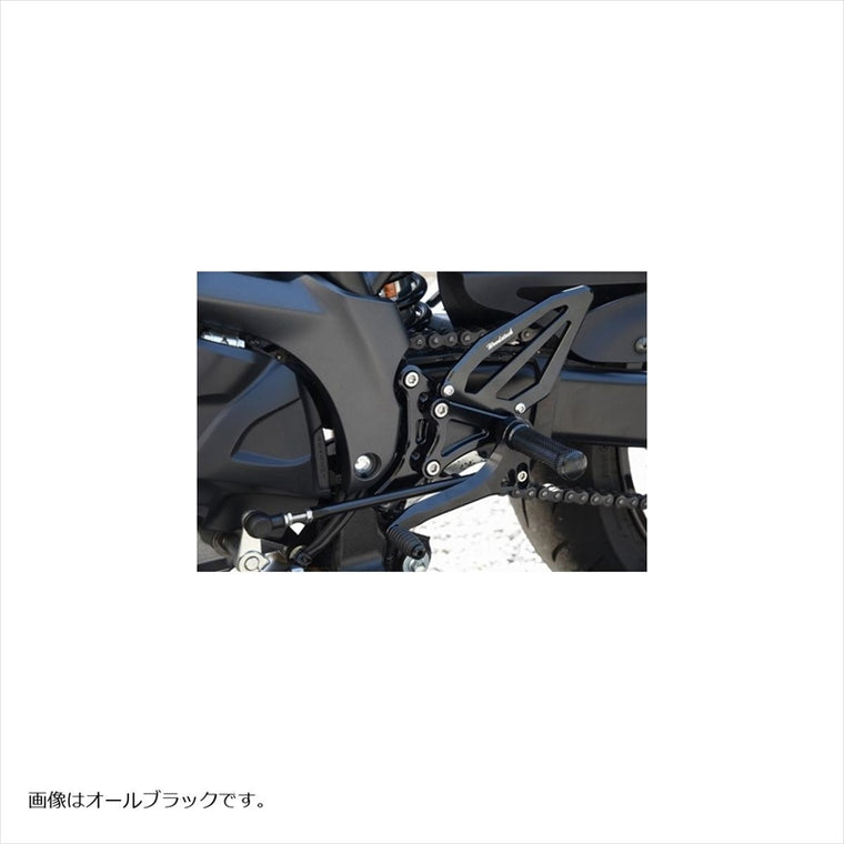 WOODSTOCK(ウッドストック) | バックステップキット オールSLV  | WBS-S16-SL | SV650 ABS 16-