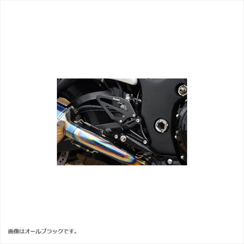 WOODSTOCK(ウッドストック) バックステップキット オールSLV WBS-S17