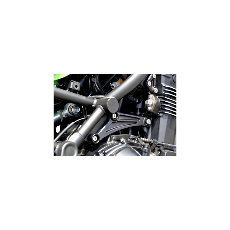 WOODSTOCK(ウッドストック) | エンジンハンガーキット タイプ2 ブラック | EHB-K36SP-BK | Z900RS 17-