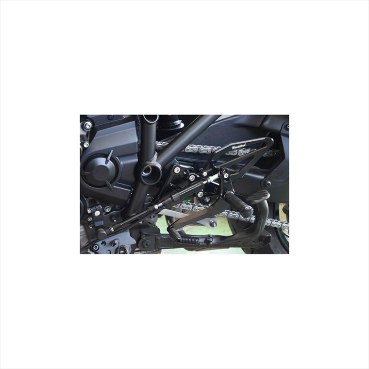 WOODSTOCK(ウッドストック) | 逆チェンジキット SLV | RVS-K37-SL | H2SX/SX SE 18