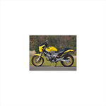 シックデザイン｜ロードコメット マグナレッド/クリア｜RC34B-MGRD