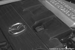I.L.Motorsport(アイエルモータースポーツ)｜オイルレベルゲージハンドル クローム/ブラック｜NCD-301262