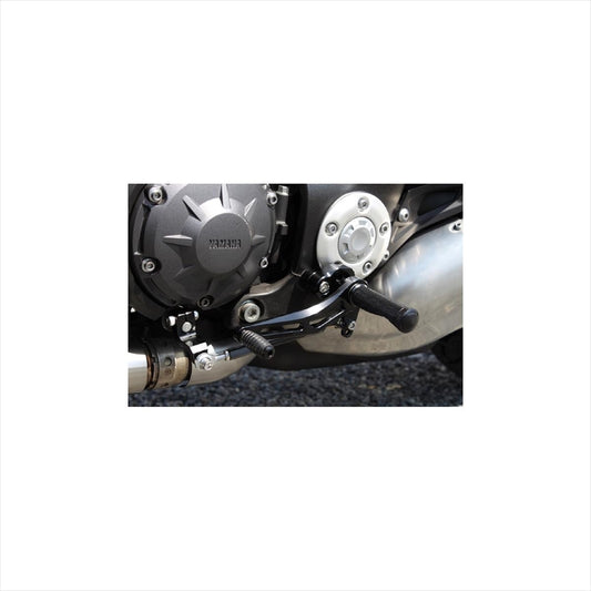 WOODSTOCK(ウッドストック) | バックステップキット シルバー | WBS-Y11-SL | V-MAX1700