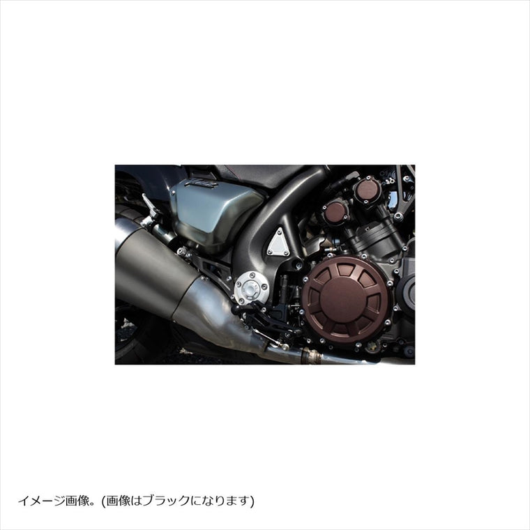 WOODSTOCK(ウッドストック) | バックステップキット シルバー | WBS-Y11-SL | V-MAX1700