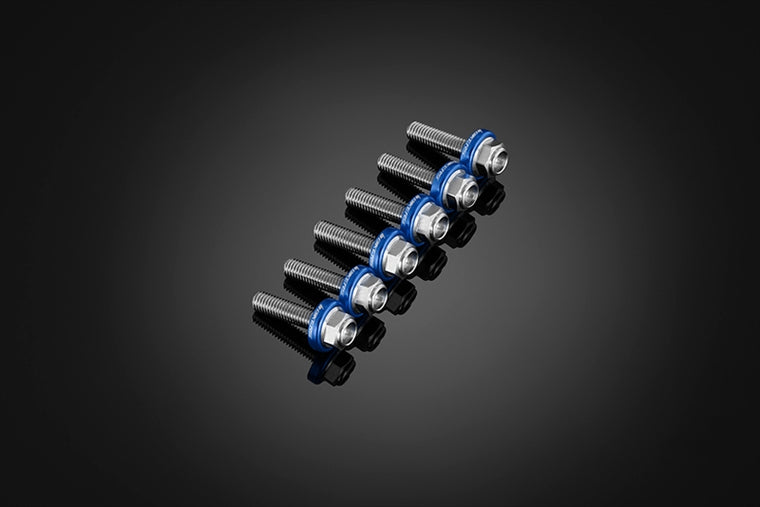 BIKERS(バイカーズ)｜スクリーン用 ステンレスボルト 6個 ブルー｜C0424-BLU