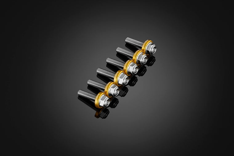 BIKERS(バイカーズ)｜スクリーン用 ステンレスボルト 6個 ライトゴールド｜C0424-LGD