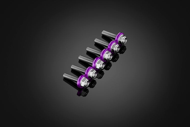 BIKERS(バイカーズ)｜スクリーン用 ステンレスボルト 6個 パープル｜C0424-PUR