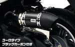 ウイルズウィン｜サイレンサー型エアクリーナー/ユーロ BLKカーボン｜MF13 Black.C
