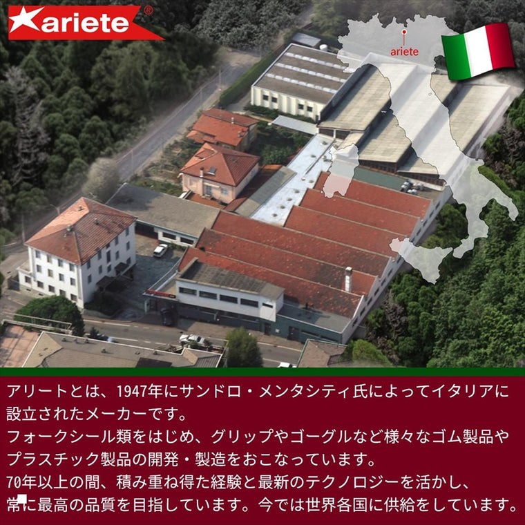 ARIETE(アリート) | 8K TOP ゴーグル | 14960-TGS | フレーム：グレー/レンズ：シルバー/ストラップ：ブラック