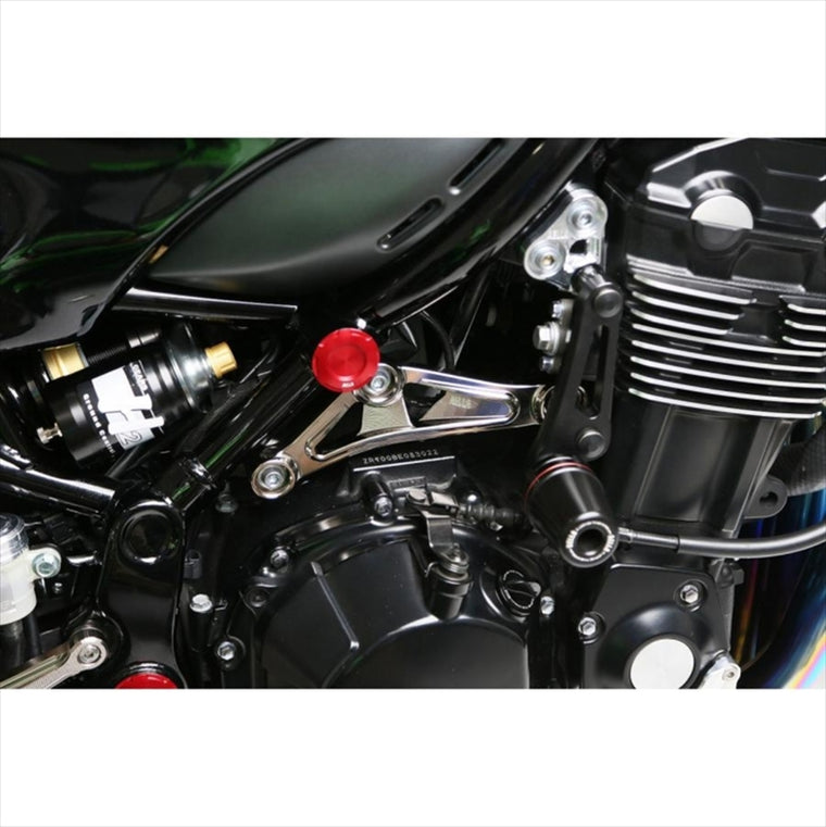 アエラ｜AELLA エンジンハンガー・ロア in VibraTech ホワイト Z900RS｜AE-20005-WT