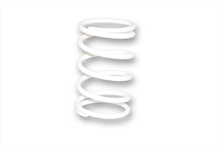 MALLOSSI(マロッシ)｜クラッチセンタースプリングWHT｜2911084.W0