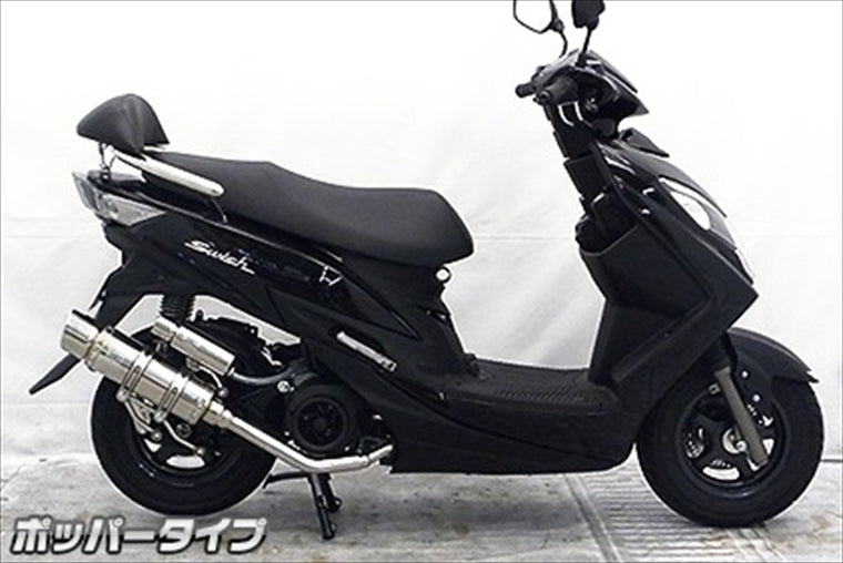 ウイルズウィン｜ロイヤルマフラーポッパータイプ スウィッシュ 2BJ-DV12B｜2062-59-02