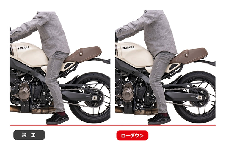 EFFEX(エフェックス)ローダウンキット 24mmダウンPHA389D