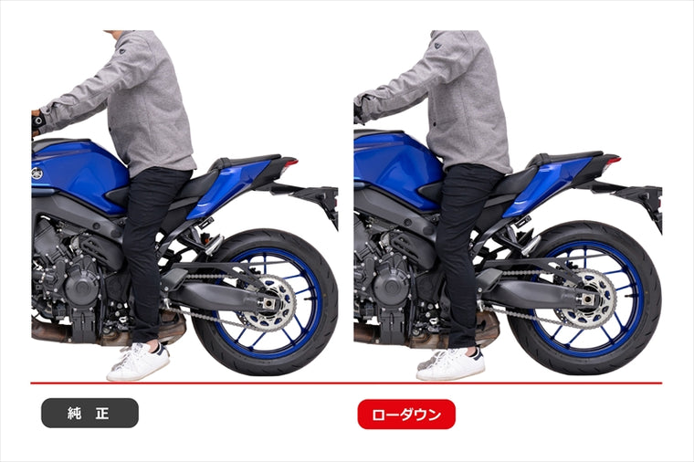 EFFEX(エフェックス)ローダウンCOMPキット 21/24mmダウンPHA386D-SET