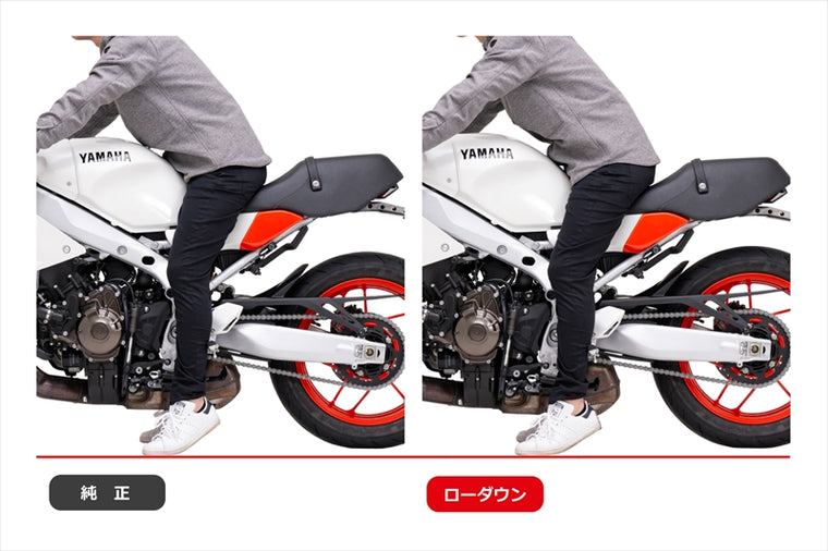 EFFEX(エフェックス)ローダウンCOMPキット 21/24mmダウンPHA386D-SET