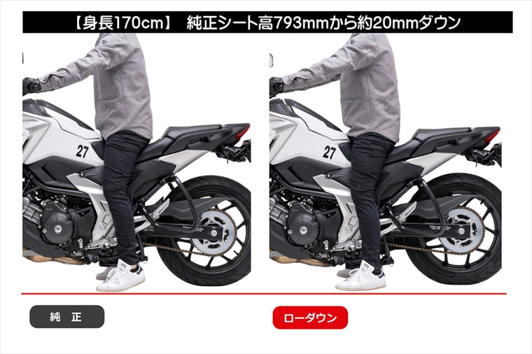 EFFEX(エフェックス)ローダウンCOMPキット 20mmダウンPHA0063D-SET