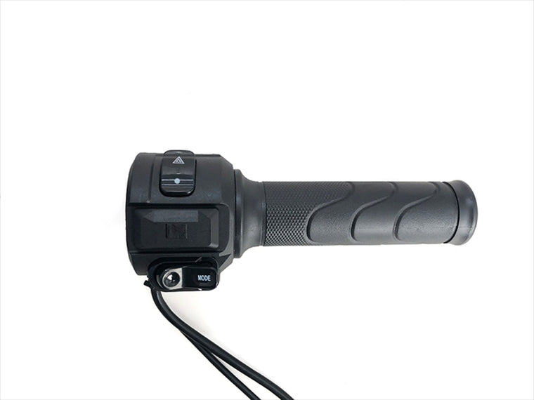()｜RIGHT SWITCH ASSY｜202150003401