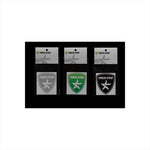 トリックスター｜ステッカー111 ｜TSS-111-GRY