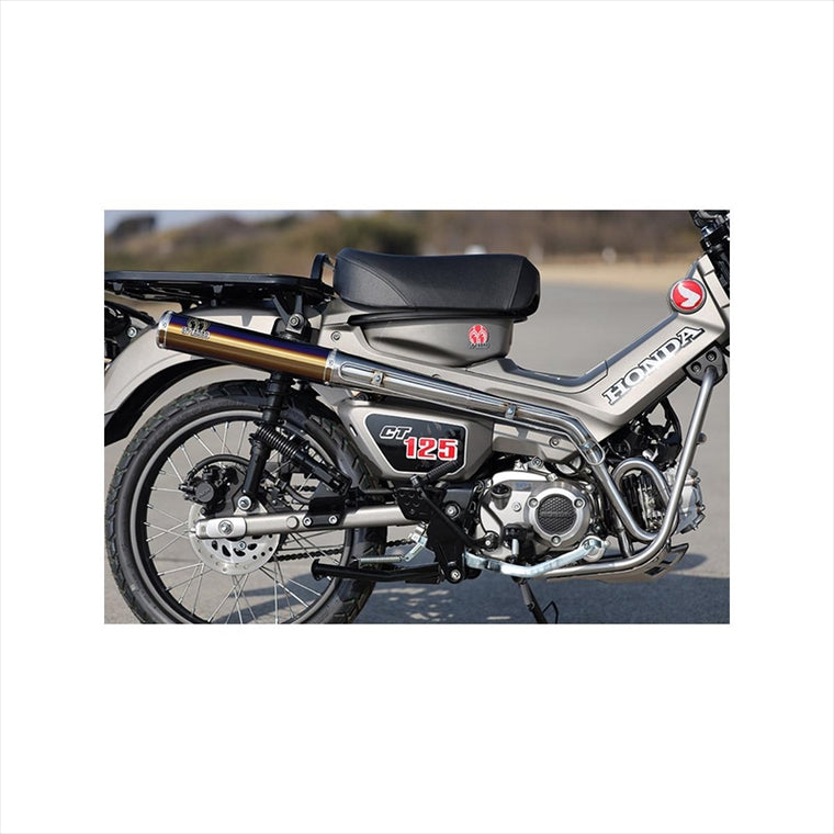 スペシャルパーツタダオ｜PURESPORT チタンブルー｜CT1-PS-12