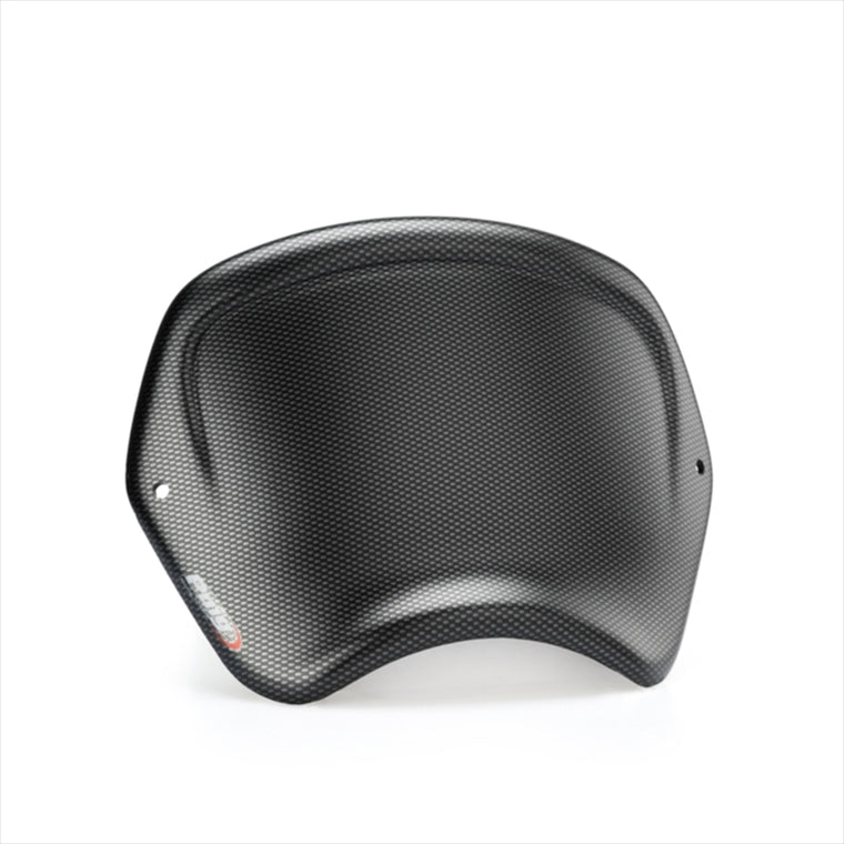 プーチ｜フロントパネル ABS (FRONT PLATE) カーボンプリント CL 500 23-24 /CL250 23-24｜21635C