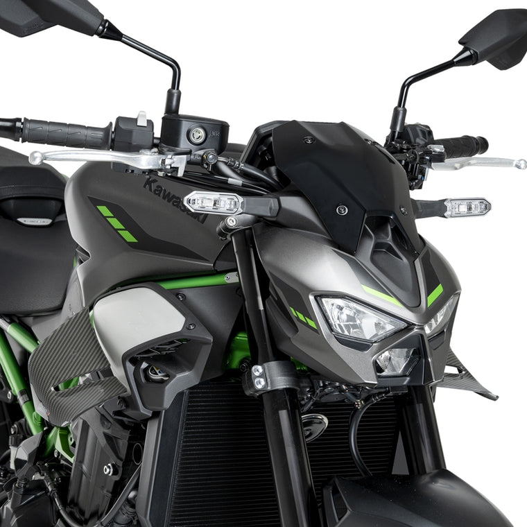 PUIG(プーチ)スポイラーD12 SPOILERS D12 CarbonLook22445C
