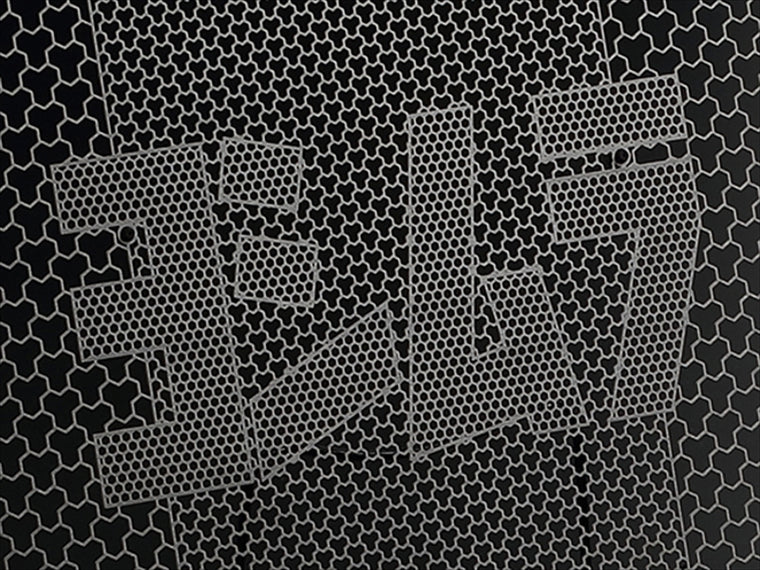 ヨシムラ｜ラジエターコアプロテクター(Black Oxide)  X350(24-)｜454-673-0B00