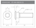 βTITANIUM(ベータチタニウム)｜ディスクローターボルト K汎用｜BT-KW-08030-D2-BG