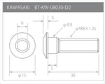 βTITANIUM(ベータチタニウム)｜ディスクローターボルト｜BT-KW-08030-D2-WB