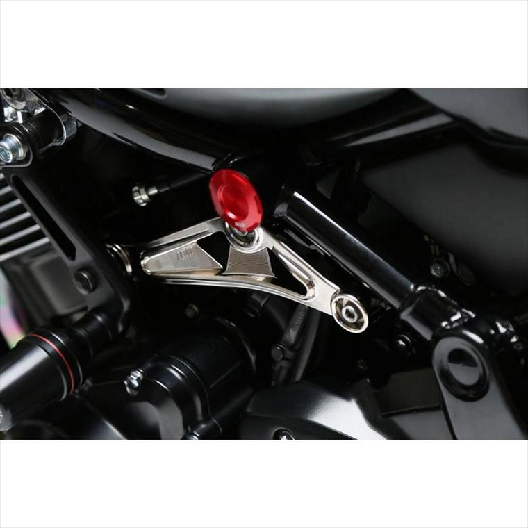 アエラ｜エンジンハンガー・ロア in VibraTech Kawasaki Z900RS｜AE-20005-Ni