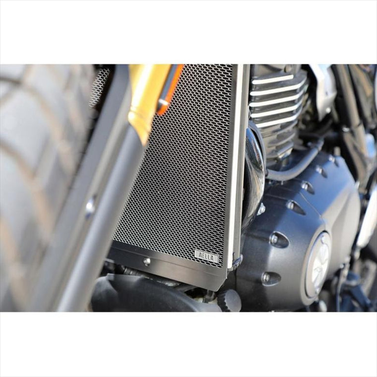 アエラ｜ラジエタープロテクター トライアンフ スピード400/スクランブラーX｜AE-56054