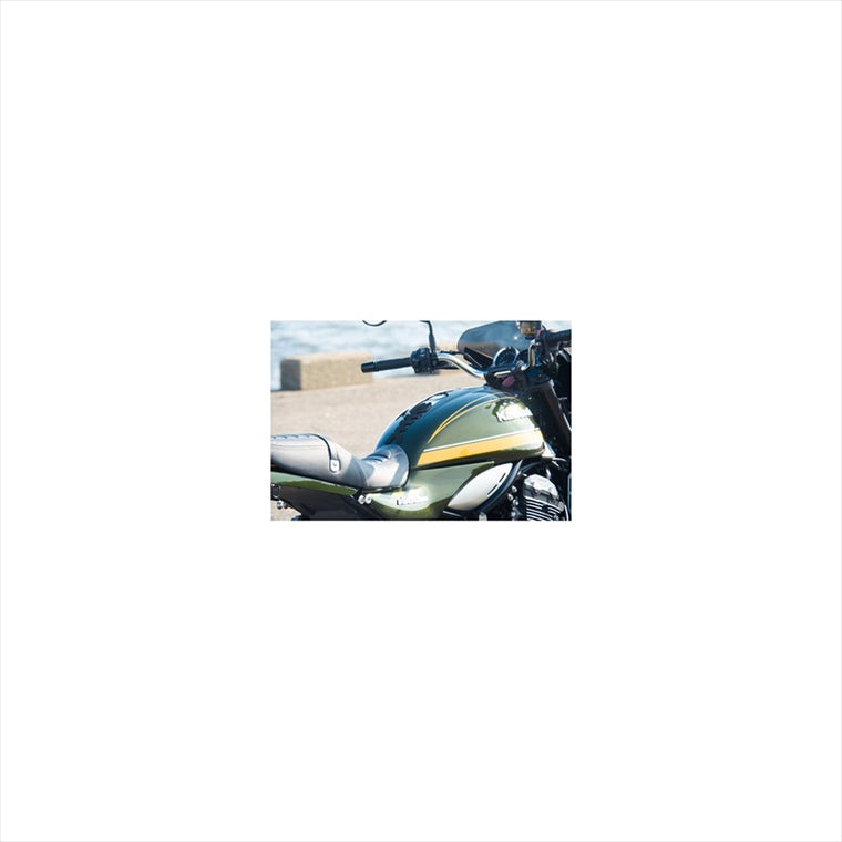 ワールドウォーク｜プロテクションタンクパッド 魚の骨 ｜g1-2