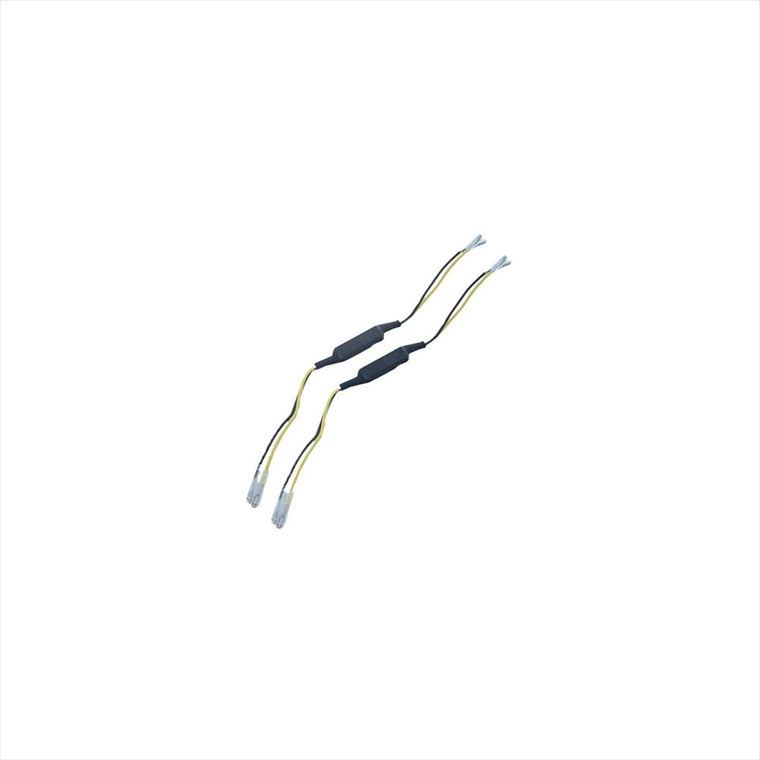 アールアンドジー｜レジスター 4W 2pcs｜RG-RGR0003
