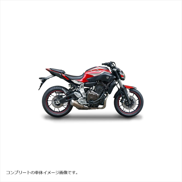 エムディーエフ｜ストロボライトカウルSRD｜MMT07-D-SRD-LC