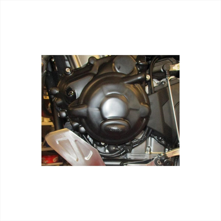 アールアンドジー｜エンジンケースカバー レーシング 左側｜RG-ECC0298R