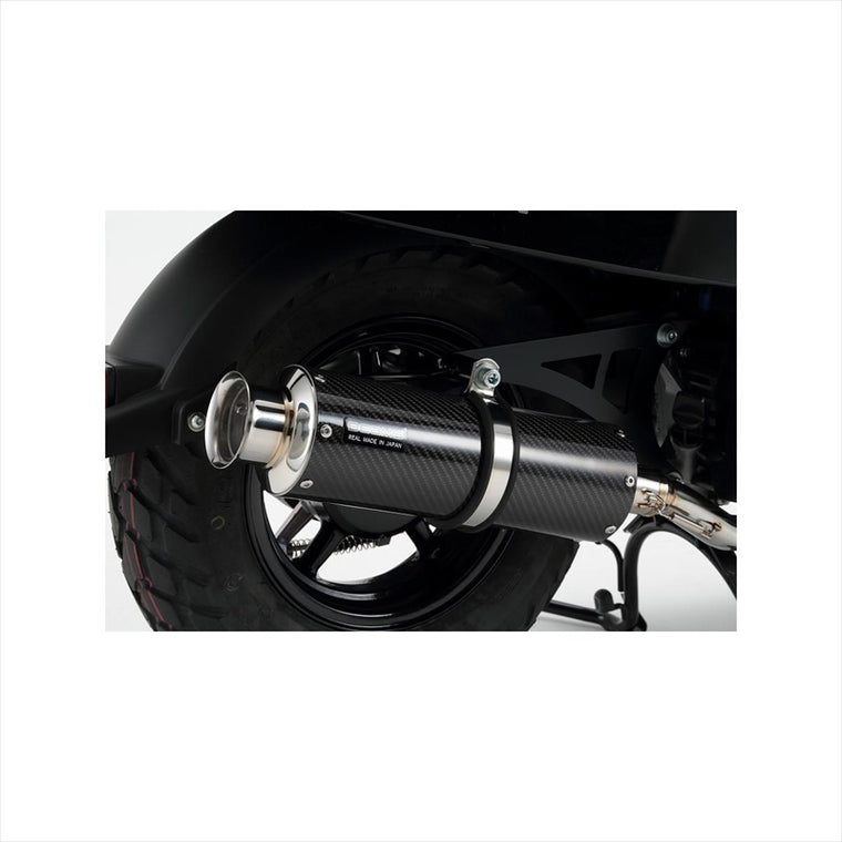 ビームスモーターカンパニー｜SS300カーボン SP ｜G250-08-000