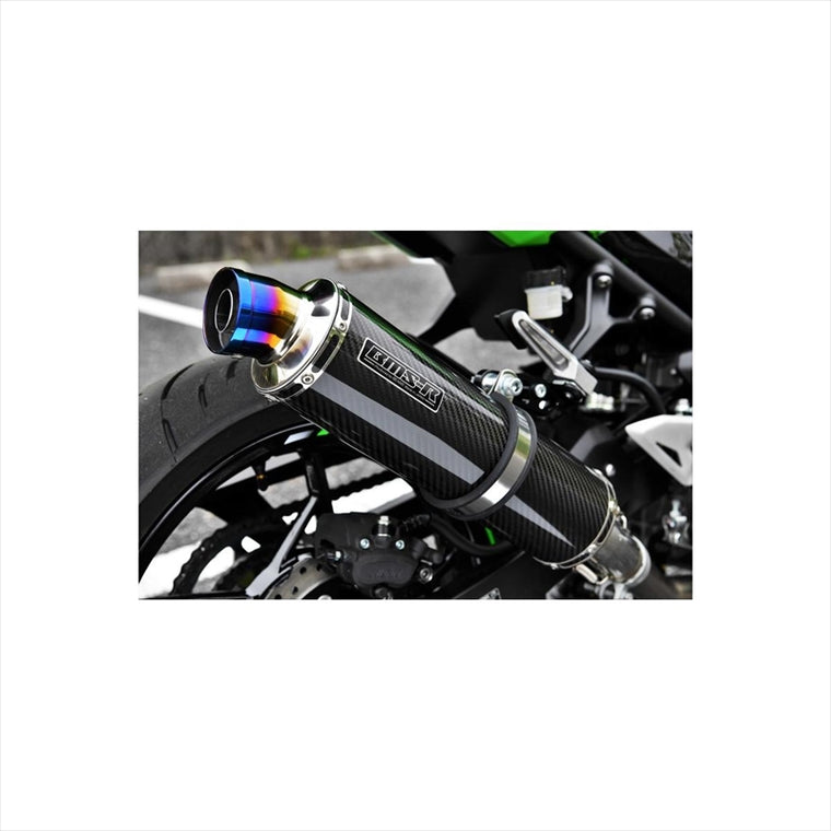 ビームスモーターカンパニー｜R-EVO S/O カーボン ｜G431-53-P2J