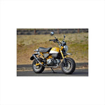 BEAMS | ビームス R-EVO カーボンサイレンサー モンキー125 2BJ-JB02 | G187-53-006