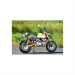BEAMS | ビームス CORSA-EVOIIヒートチタンサイレンサー モンキー125 2BJ-JB02 | G187-65-001