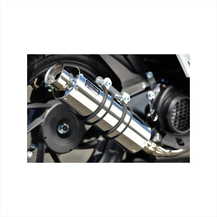 ビームスモーターカンパニー｜SS300ソニックSP 政府認証 ｜G199-07-000