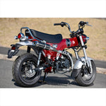 ビームスモーターカンパニー｜R-EVO TYPE C カーボン 政府認証｜G1012-56-006