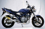 RPM(アールピーエム)｜RPM-67Racing アルミ BANDIT400 V (95-) GK7AA｜4621-01