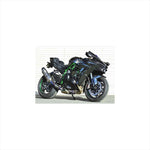 BEET(ビート) | ナサート-Evo TYPE2 S/O メタルBLK | 0222-KG9-MB | Ninja H2 CARBON 19-